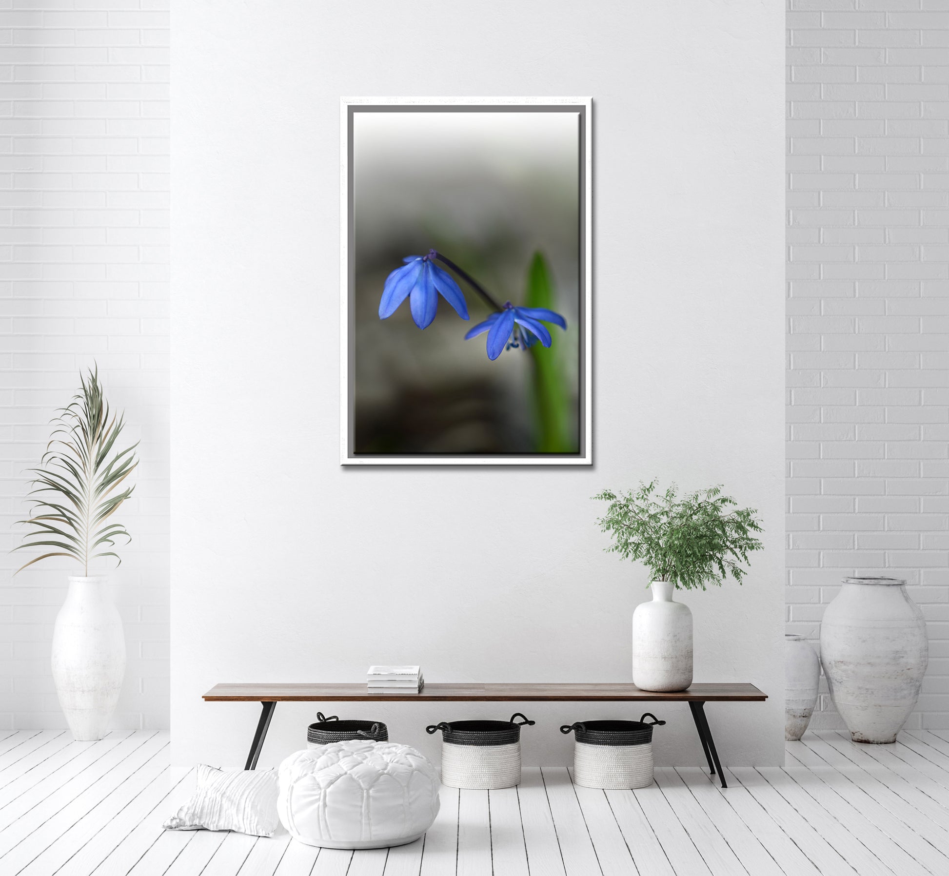 Blue Siberian Squill Flowers. Framed Canvas wall art by Kristen Olivares.