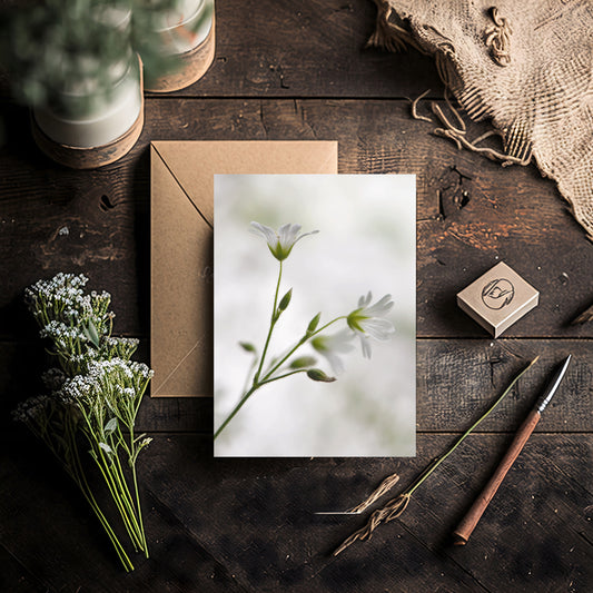 Beautiful Blank greeting card with white flowers on the front.  Fine Art Photography. Kristen Olivares