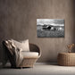 Beautiful, abandoned, antique cars left out in a field in Iceland. Printed on metal. Black and white Fine art photography by Kristen Olivares. 