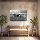 Beautiful, abandoned, antique cars left out in a field in Iceland. Printed on metal. Black and white Fine art photography by Kristen Olivares. 