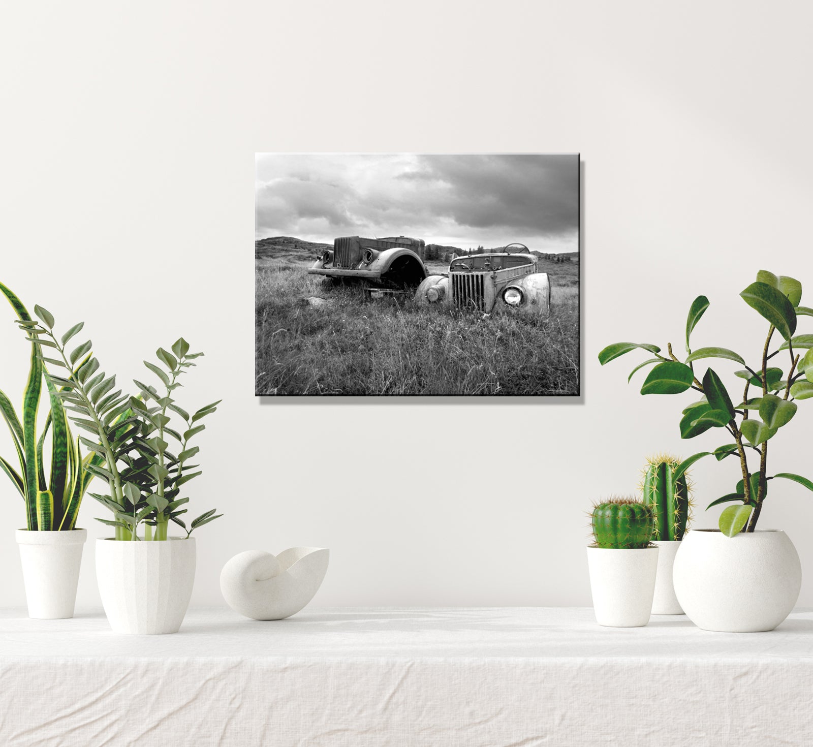 Beautiful, abandoned, antique cars left out in a field in Iceland. Printed on metal. Black and white Fine art photography by Kristen Olivares. 
