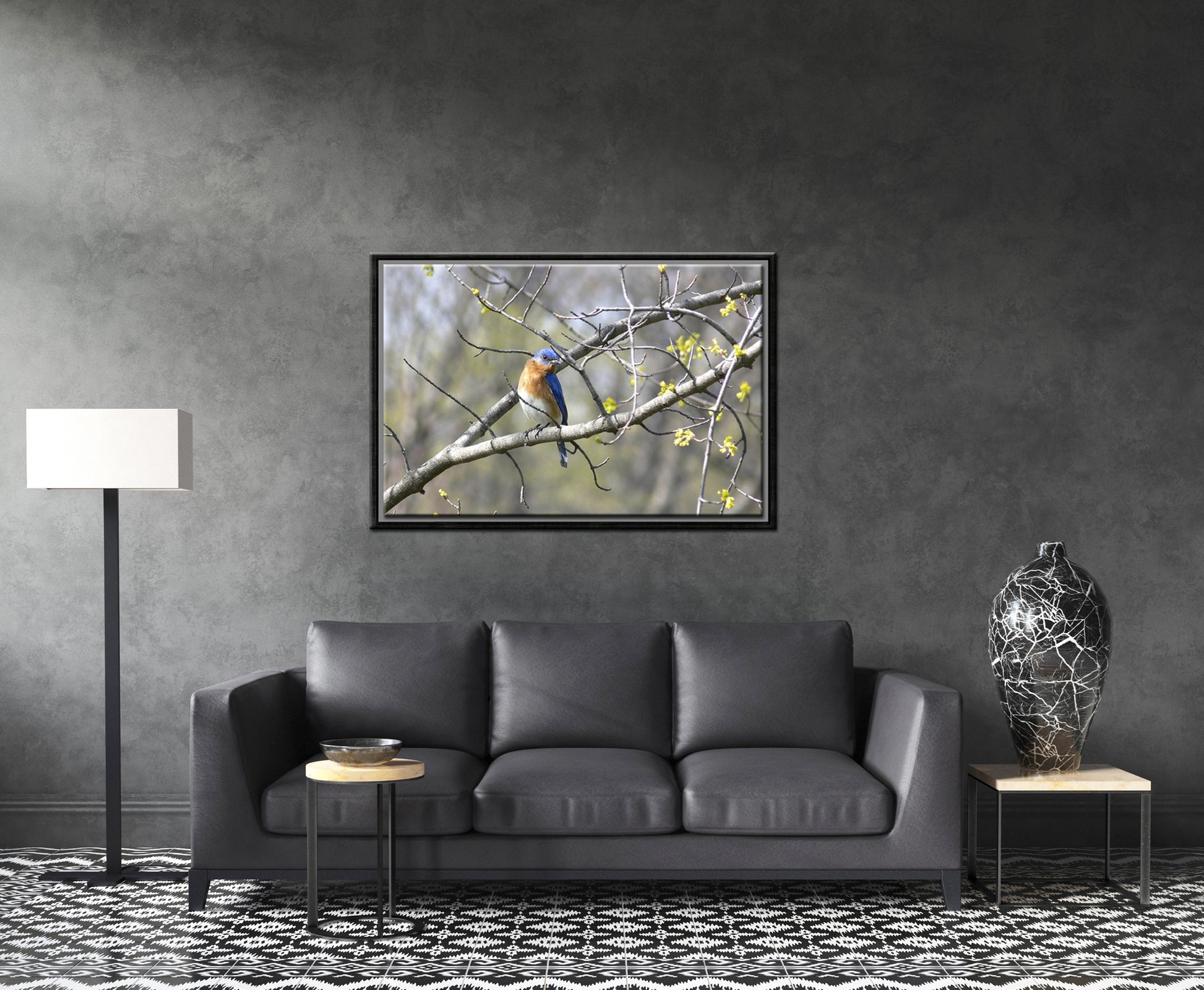 Beautiful, Springtime, Bluebird sitting in a blooming tree. Fine Art Canvas Art print by Kristen Olivares