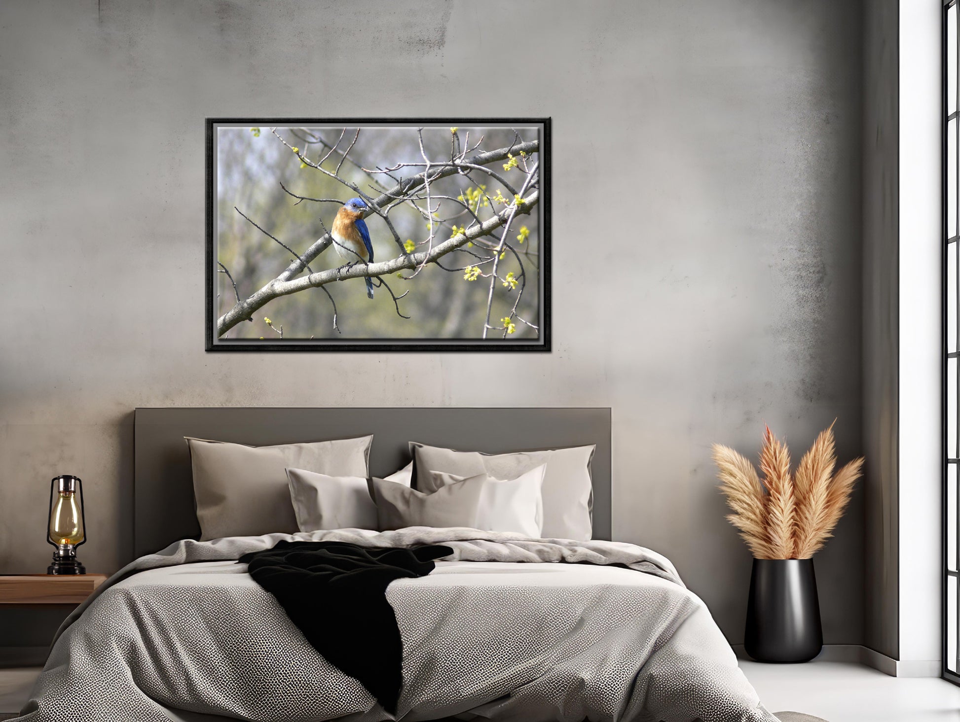 Beautiful, Springtime, Bluebird sitting in a blooming tree. Fine Art Canvas Art print by Kristen Olivares