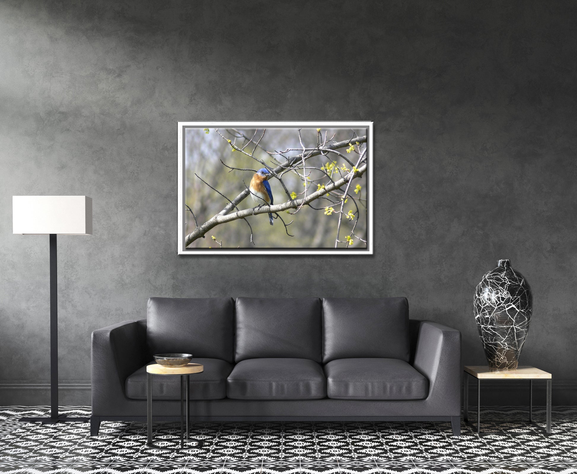 Beautiful, Springtime, Bluebird sitting in a blooming tree. Fine Art Canvas Art print by Kristen Olivares
