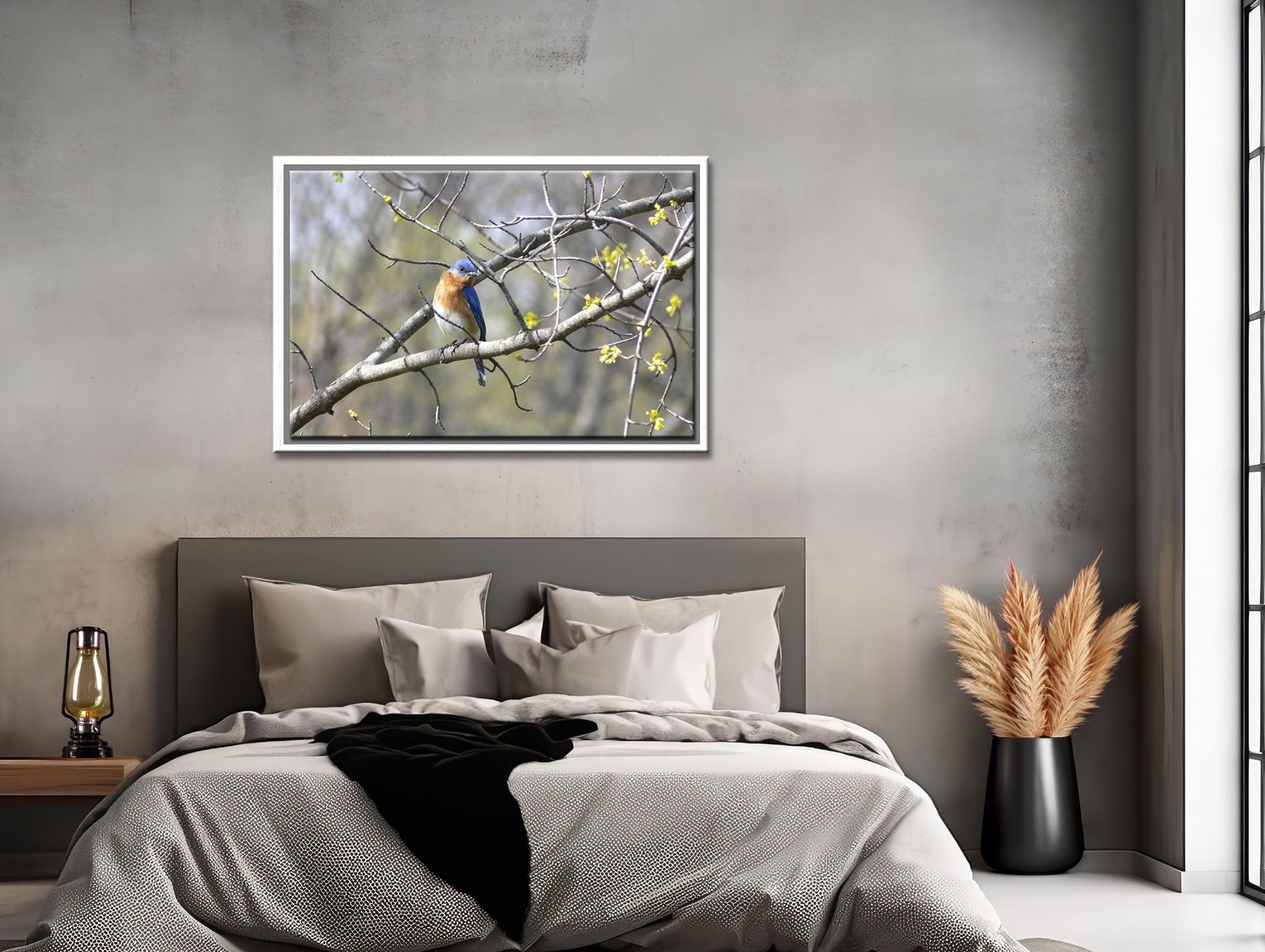 Beautiful, Springtime, Bluebird sitting in a blooming tree. Fine Art Canvas Art print by Kristen Olivares