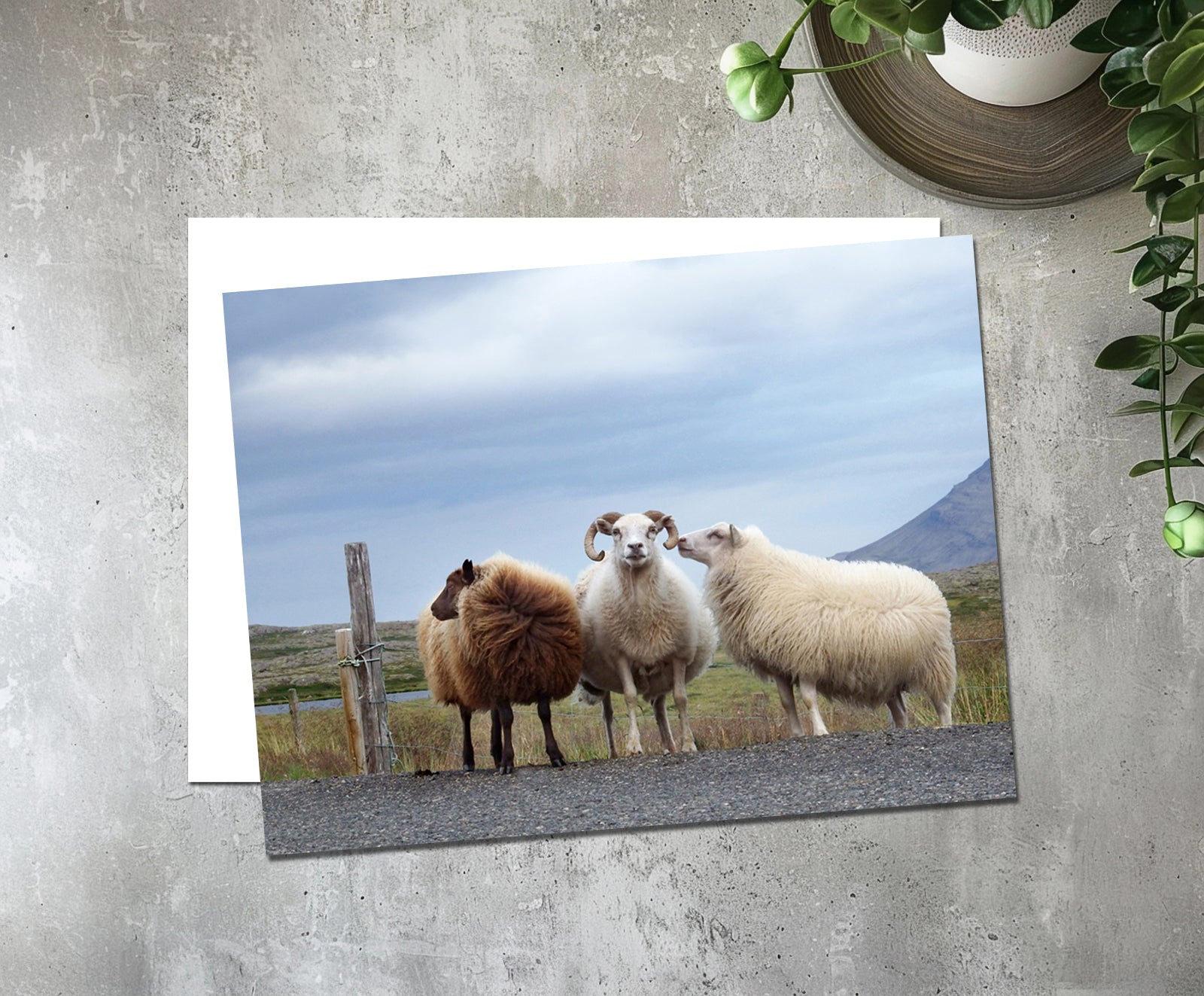 Beautiful Blank Iris card. Send a handwritten note again!