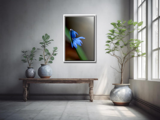 Deep Blue of the Forest-Fine Art Photography-Blue Siberian Squill Flowers