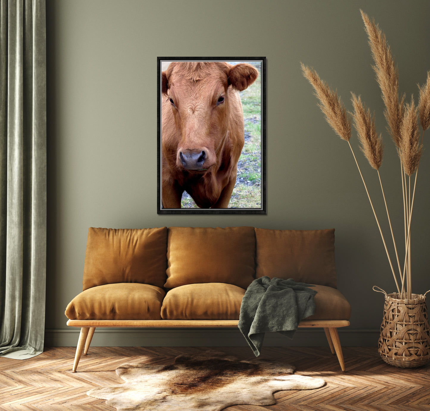 Beautiful brown cow in the green fields of Iceland. Framed canvas wall art by Kristen Olivares.