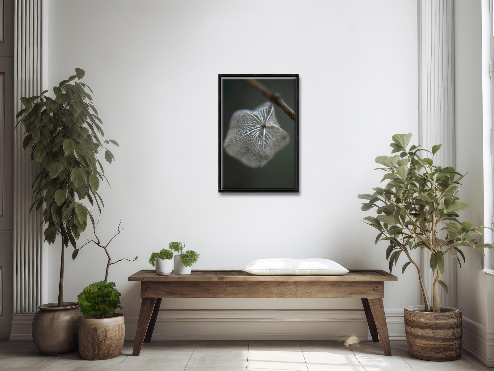 Beautiful macro image of a Chinese Lantern-Framed Canvas Art Print by Kristen Olivares