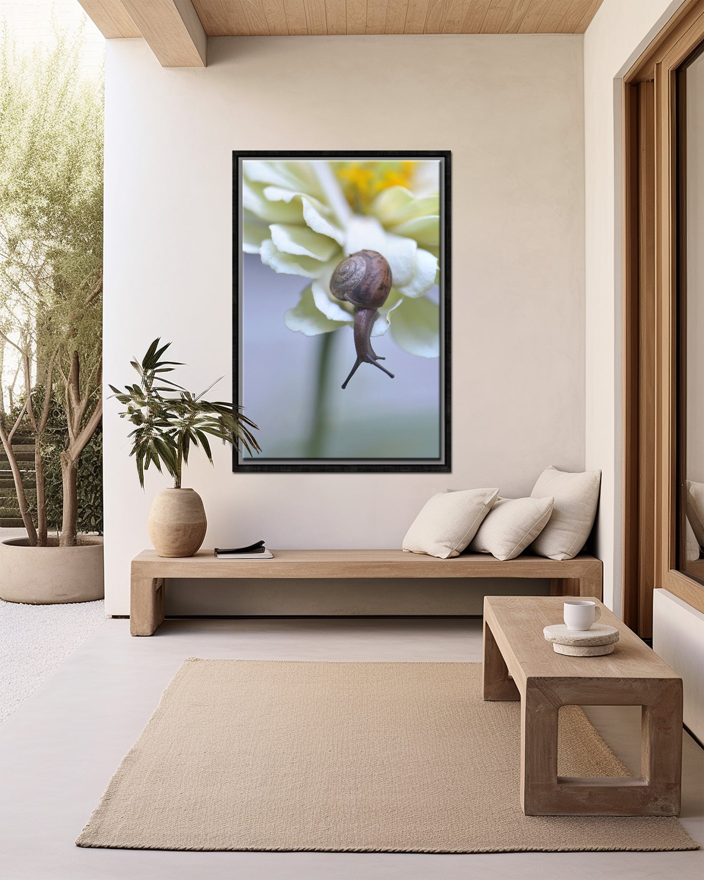 Crawling Along the Garden-Fine Art Photography-Beautiful Brown Snail Upon a Cream Colored Flower