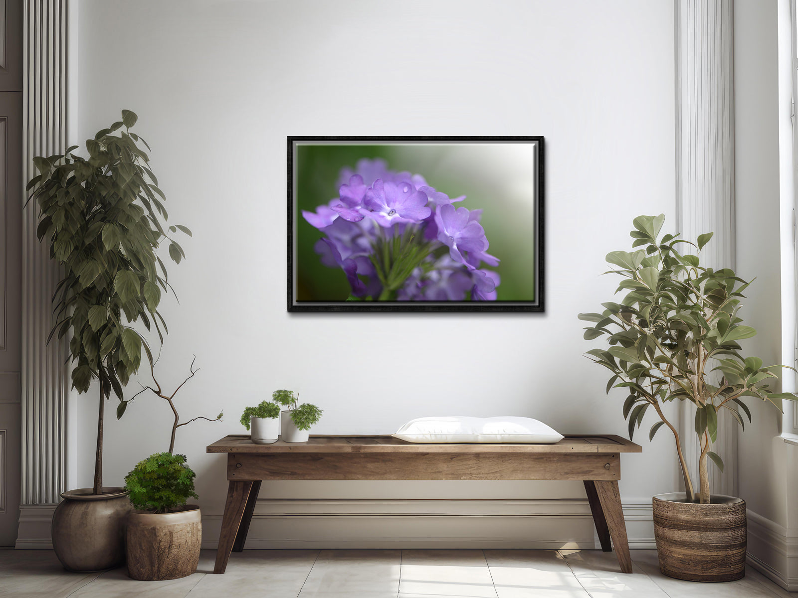 Deep Purple Phlox flower. Stunning macro fine art photography. Framed canvas wall art by Kristen Olivares.