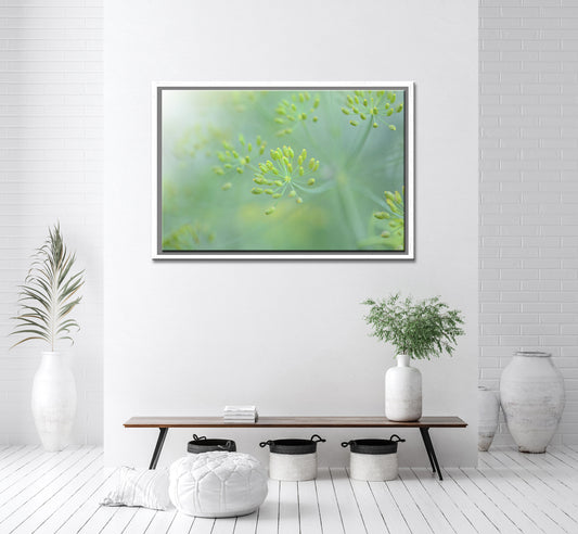 Bright and beautiful yellow Dill buds. Fine Art Photography Framed Wall Art by Kristen Olivares