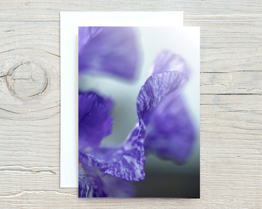 Iris in the Mist-Blank Inside Greeting Card