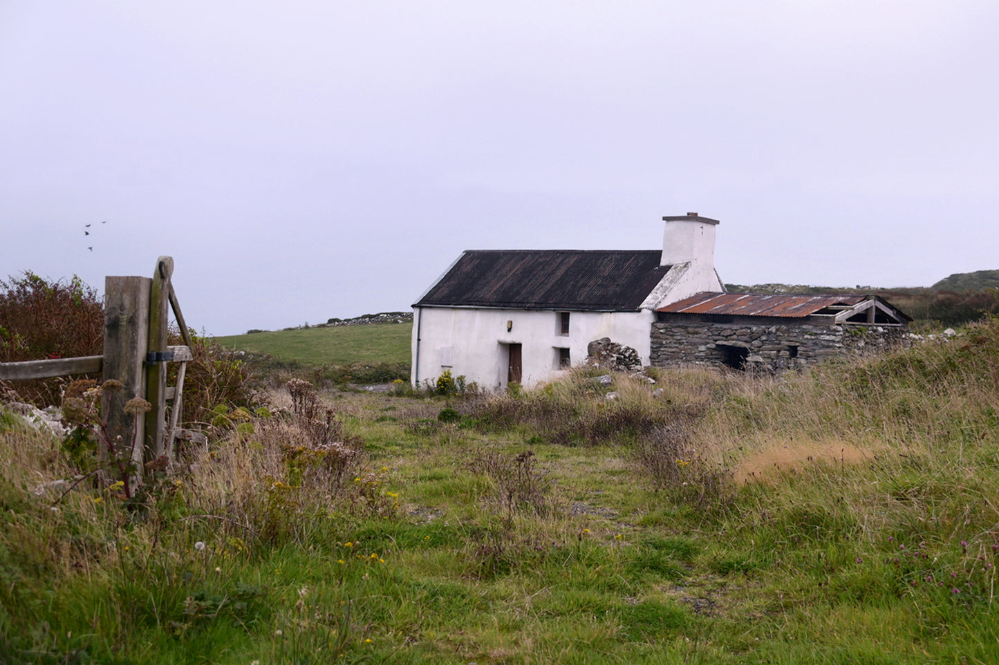Old, stone, farmhouse in the Irish Countryside. Framed canvas print by Kristen Olivares