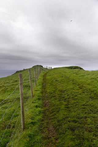 A path in Mykines Island, Faroe Islands.  Fine Art Photography. Kristen Olivares