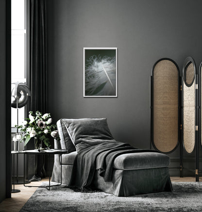 Beautiful feather photo, framed wall art by Kristen