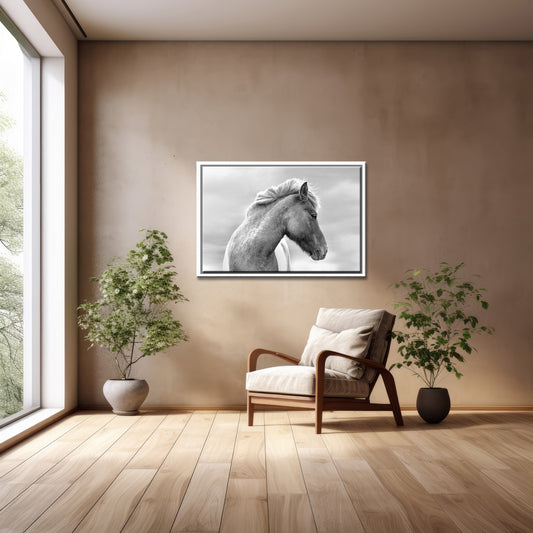Flaunting Beauty-Fine Art Photography-Wild Icelandic Horse-Iceland-Black and White