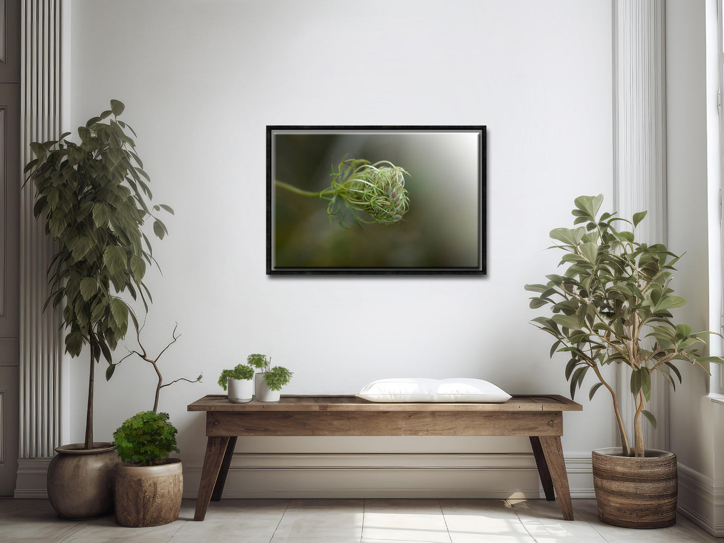 Beautiful image of a Queen Ann’s Lace gone to seed, canvas image by Kristen Olivares
