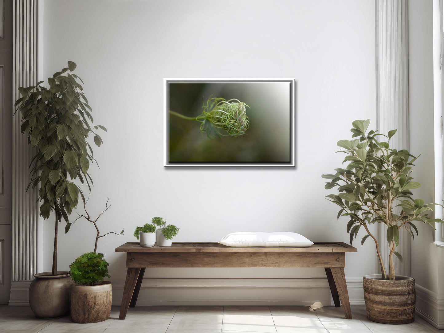 Beautiful image of a Queen Ann’s Lace gone to seed, canvas image by Kristen Olivares