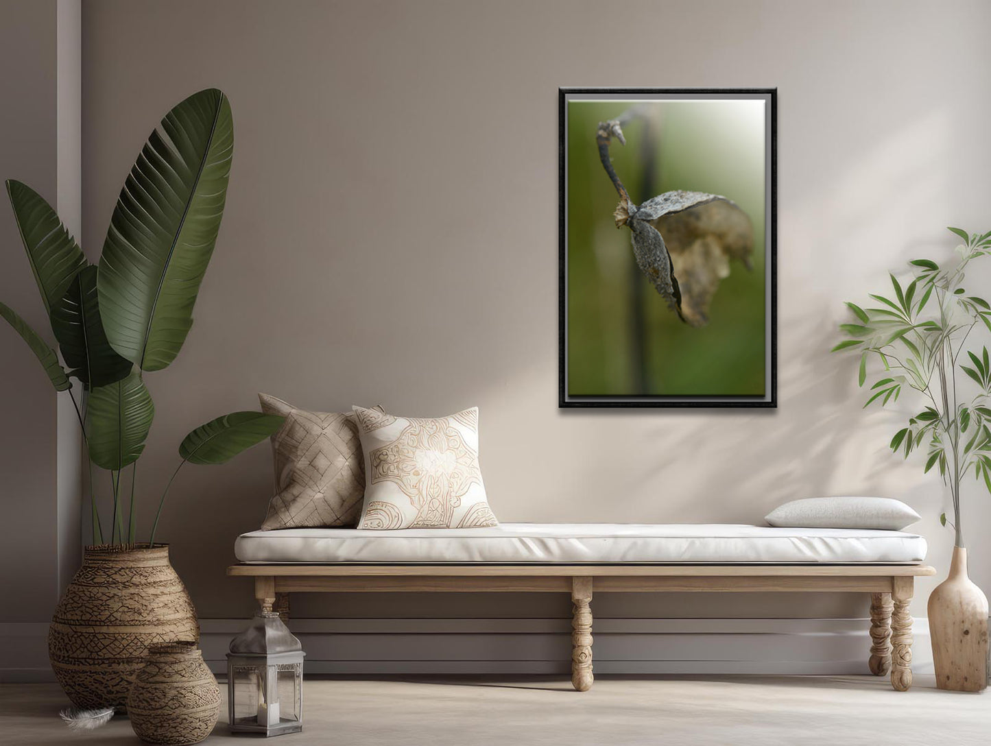 Dried Seed pod from a Milkweed Flower. Fine art photography by Kristen Olivares