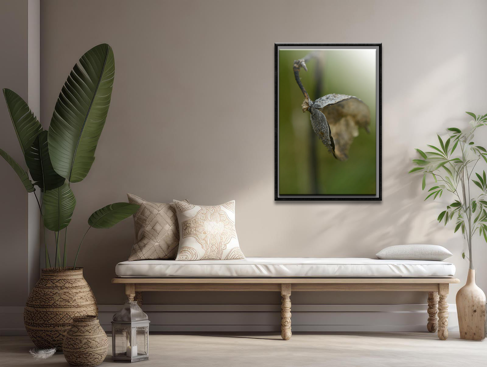 Dried Seed pod from a Milkweed Flower. Fine art photography by Kristen Olivares