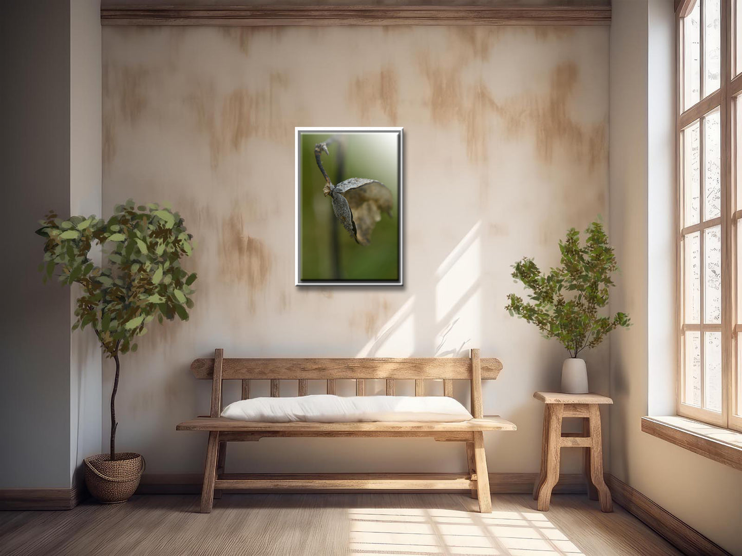 Dried Seed pod from a Milkweed Flower. Fine art photography by Kristen Olivares