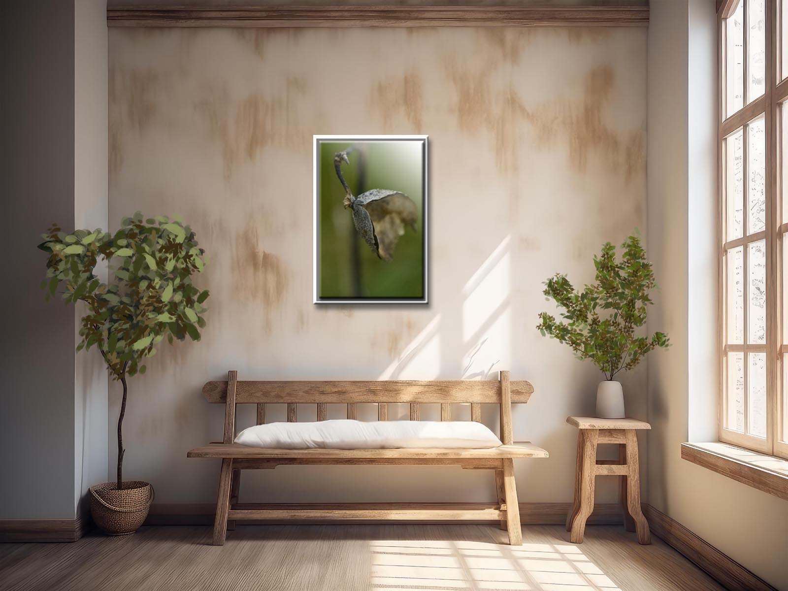 Dried Seed pod from a Milkweed Flower. Fine art photography by Kristen Olivares