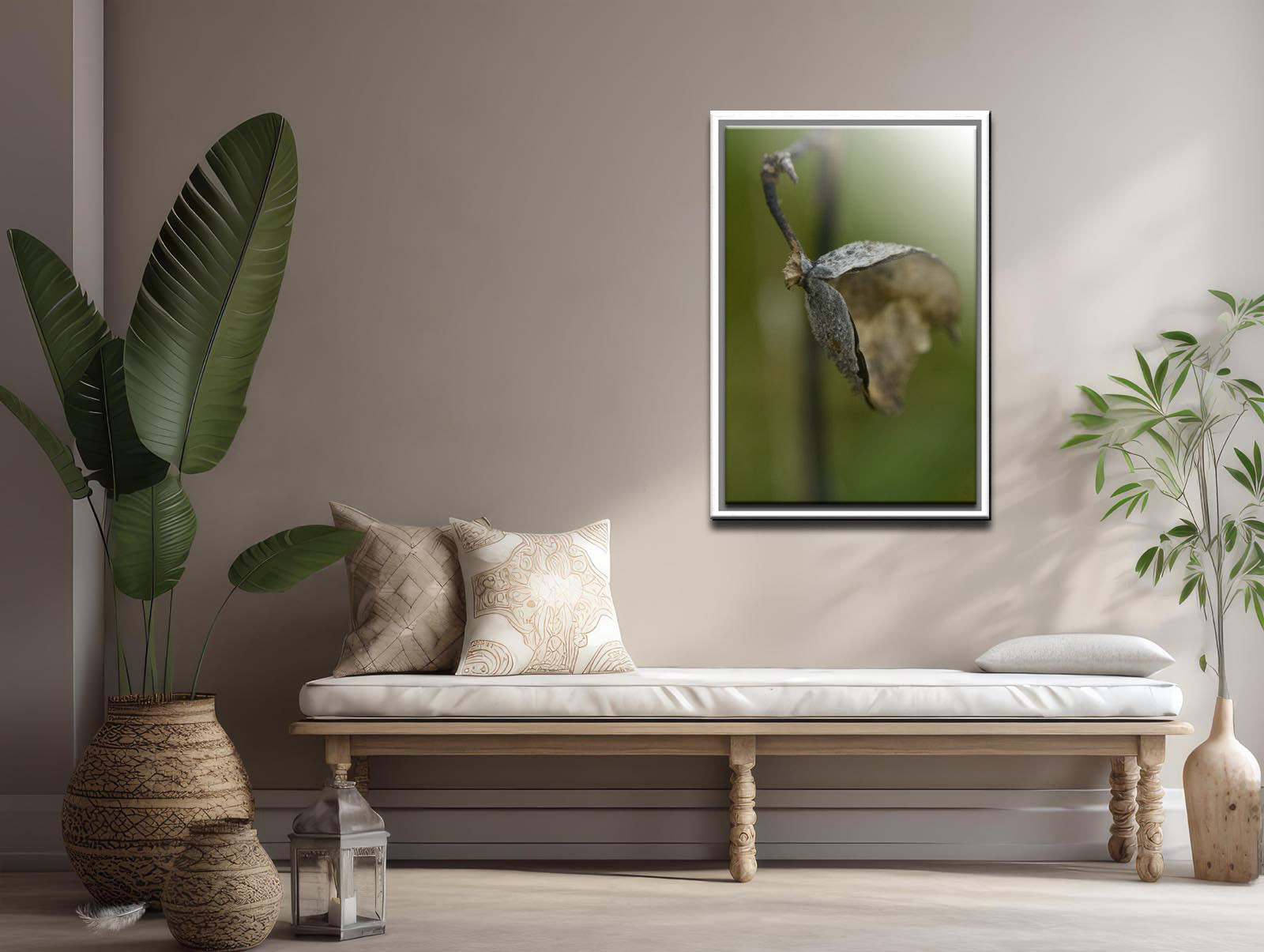 Dried Seed pod from a Milkweed Flower. Fine art photography by Kristen Olivares