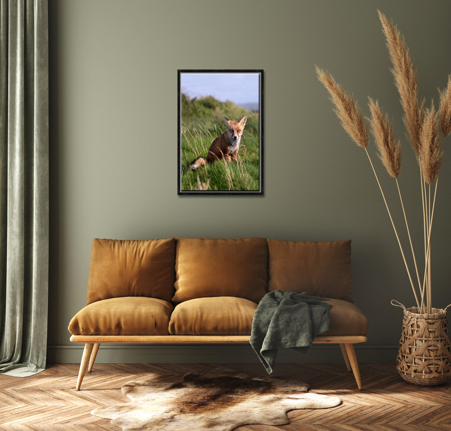 A beautiful fox in the field of Ireland. Framed Canvas Wall Art by Kristen Olivares.
