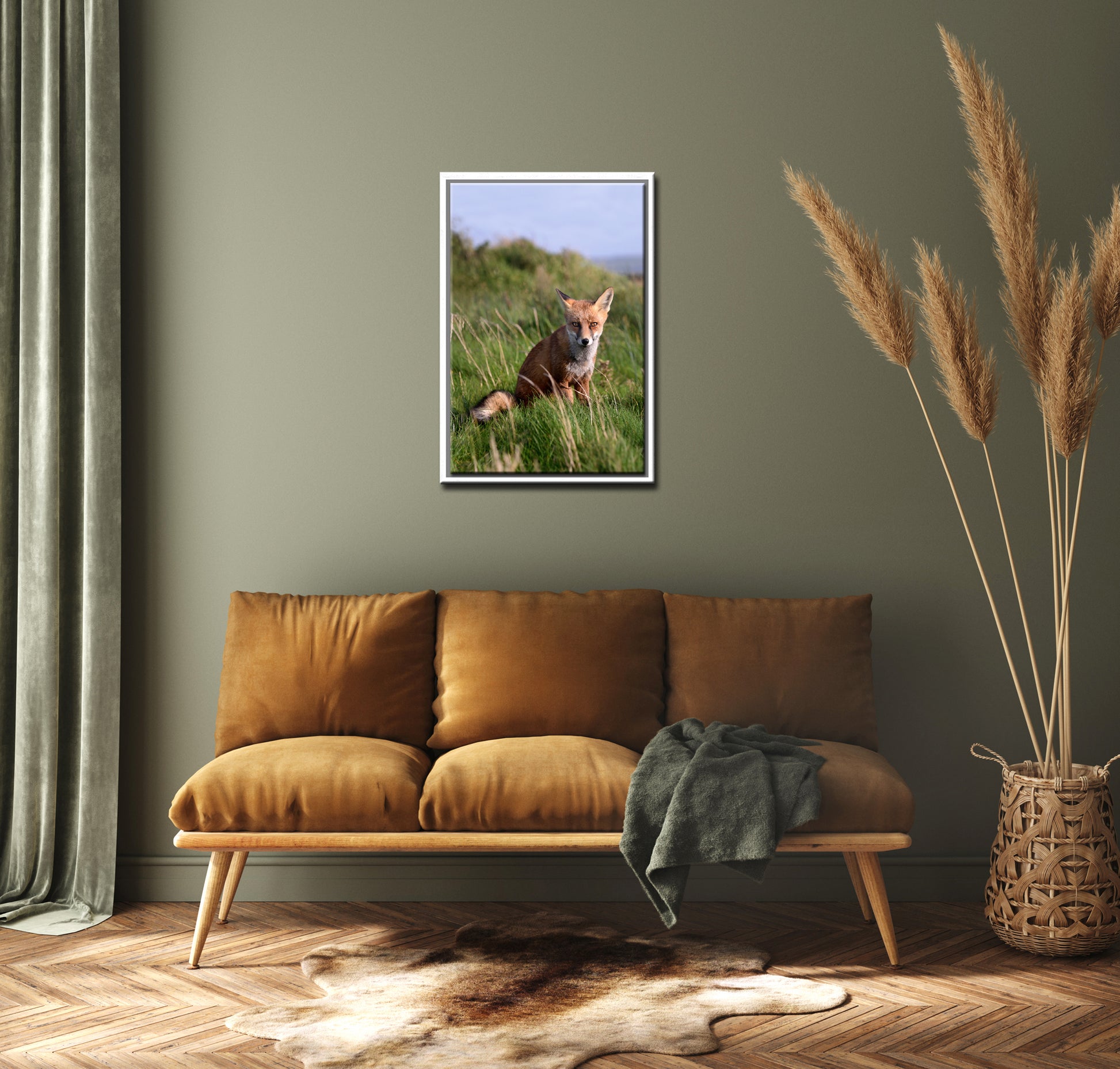 A beautiful fox in the field of Ireland. Framed Canvas Wall Art by Kristen Olivares.