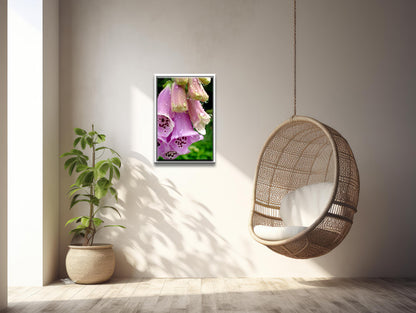 Foxglove in the Rain-Fine Art Photography-A Bright Pink Foxglove After the Rain