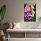 Foxglove in the Rain-Fine Art Photography-A Bright Pink Foxglove After the Rain