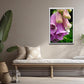 Foxglove in the Rain-Fine Art Photography-A Bright Pink Foxglove After the Rain