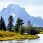 The beautiful Grand Tetons, bluish mountains and golden grass along the river bank. Canvas Wall Art. Framed Fine Art Photography by Kristen Olivares