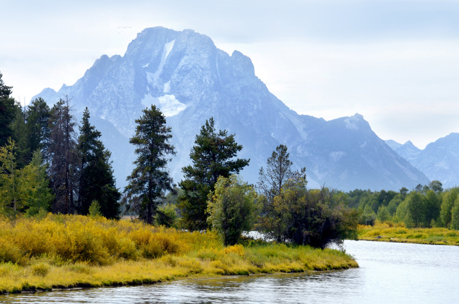The beautiful Grand Tetons, bluish mountains and golden grass along the river bank. Canvas Wall Art. Framed Fine Art Photography by Kristen Olivares