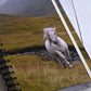 Beautiful photo of a white wild horse running through the misty cliffs of the Faroe Islands. Durable hardcover journal-200 lined pages- photo by Kristen Olivares