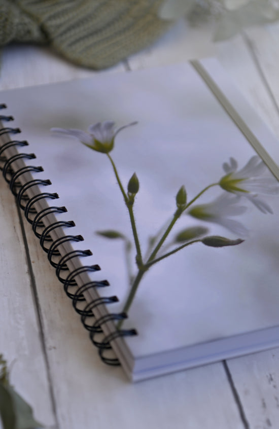 Beautiful photo of white Flowers  on a Durable hardcover journal-200 lined pages- photo by Kristen Olivares