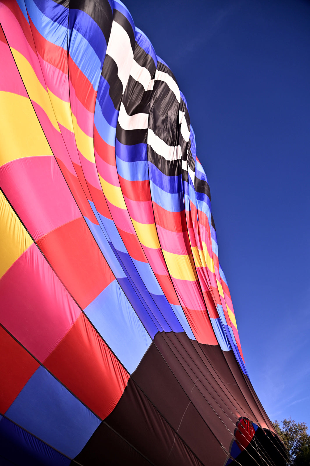 Bright, colorful Hot-air Balloon  
framed canvas photo by Kristen Olivares