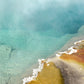Beautiful, colorful, hot springs in Yellowstone. Framed Canvas wall art. Fine art photography by Kristen Olivares.