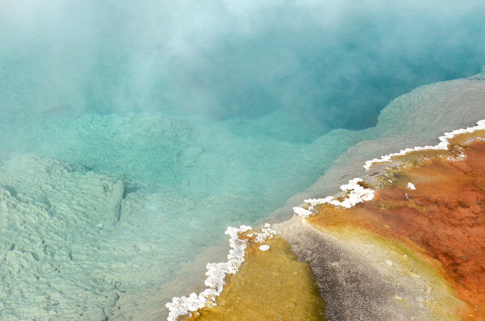 Beautiful, colorful, hot springs in Yellowstone. Framed Canvas wall art. Fine art photography by Kristen Olivares.