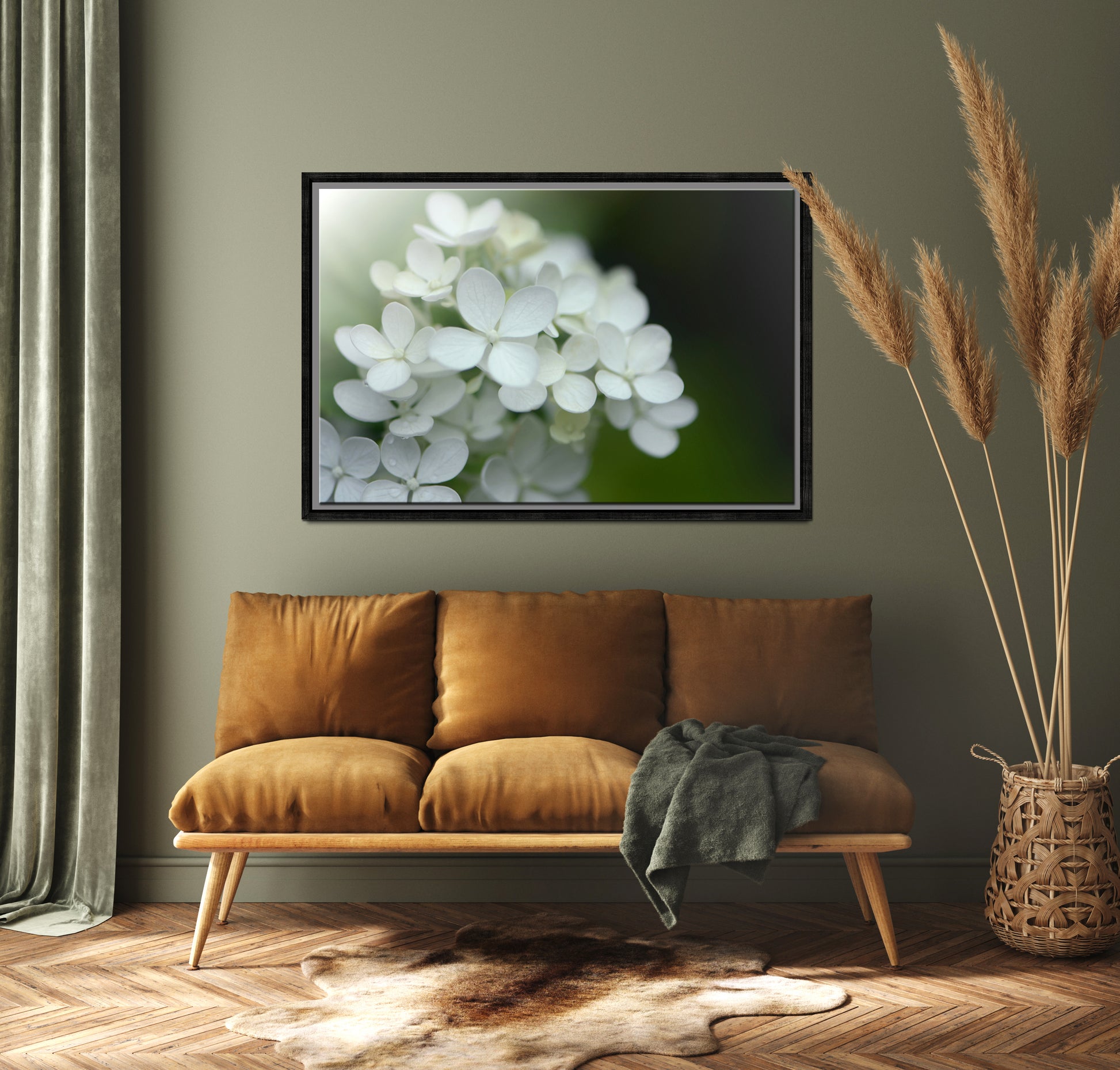 Beautiful White Hydrangea flower in the morning light. Framed canvas wall art by Kristen Olivares.