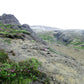 Icelands rough, rugged landscape with delicate pink flowers growing along side the rocky land. Fine art photography by Kristen Olivares. 