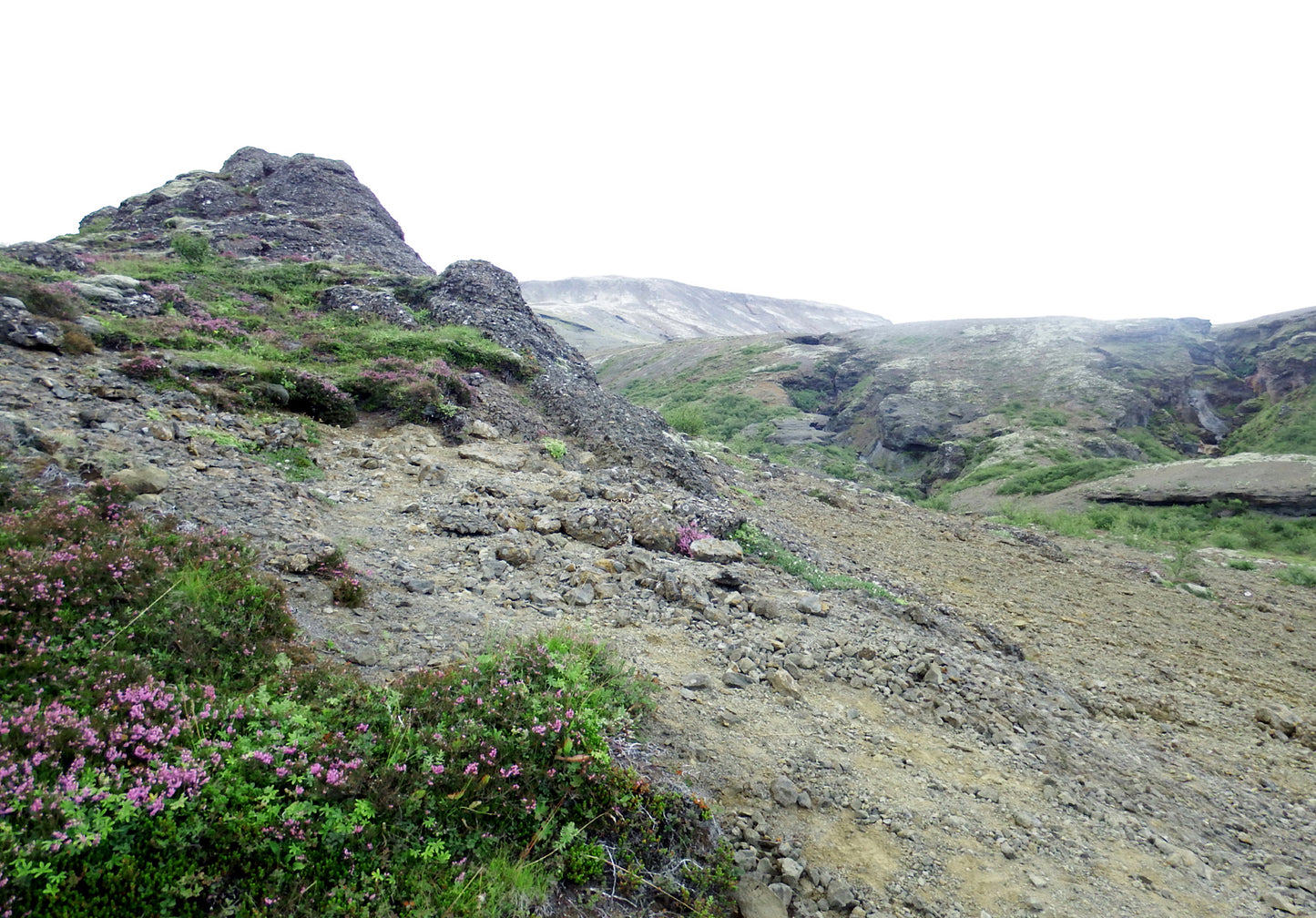 Icelands rough, rugged landscape with delicate pink flowers growing along side the rocky land. Fine art photography by Kristen Olivares. 