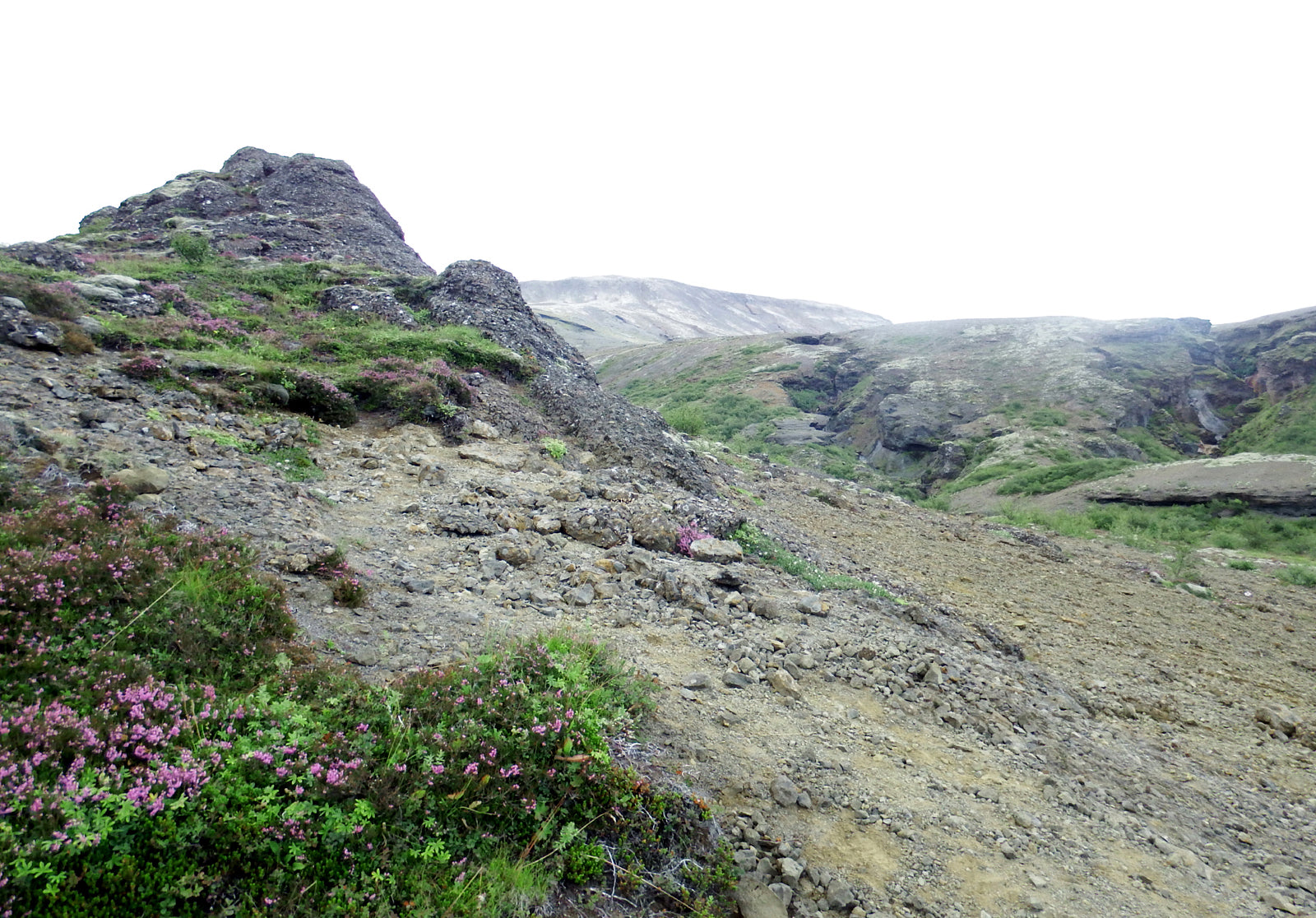 Icelands rough, rugged landscape with delicate pink flowers growing along side the rocky land. Fine art photography by Kristen Olivares. 