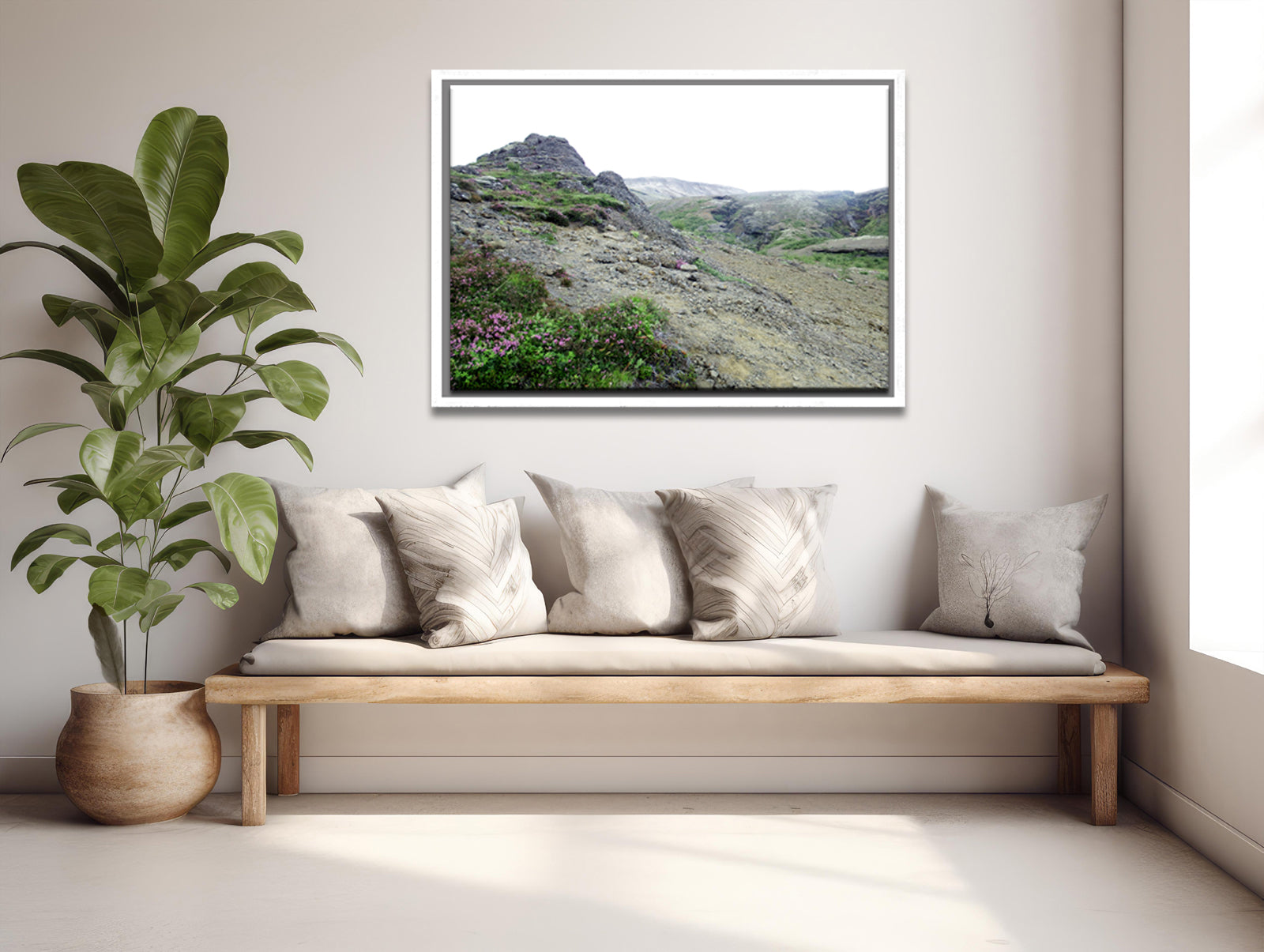 Icelands rough, rugged landscape with delicate pink flowers growing along side the rocky land. Framed fine art photography by Kristen Olivares. 