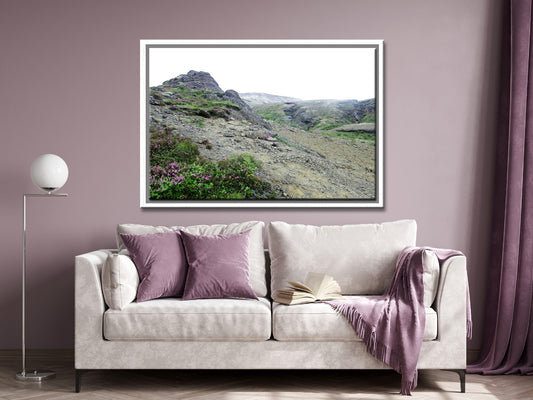 Icelands rough, rugged landscape with delicate pink flowers growing along side the rocky land. Framed fine art photography by Kristen Olivares. 