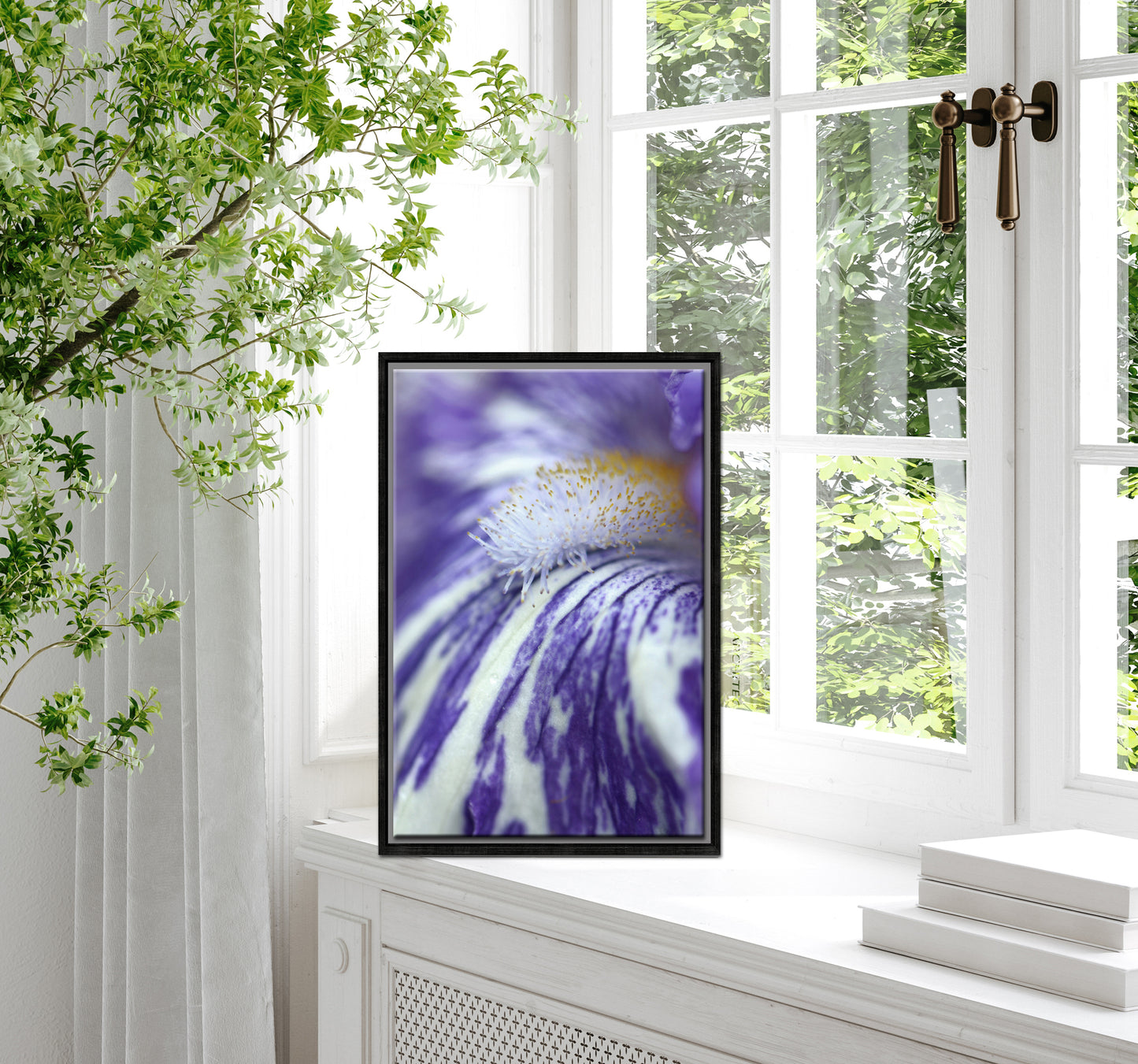 A beautiful look inside the Iris flower. Macro fine art photography. Canvas Wall Art by Kristen Olivares