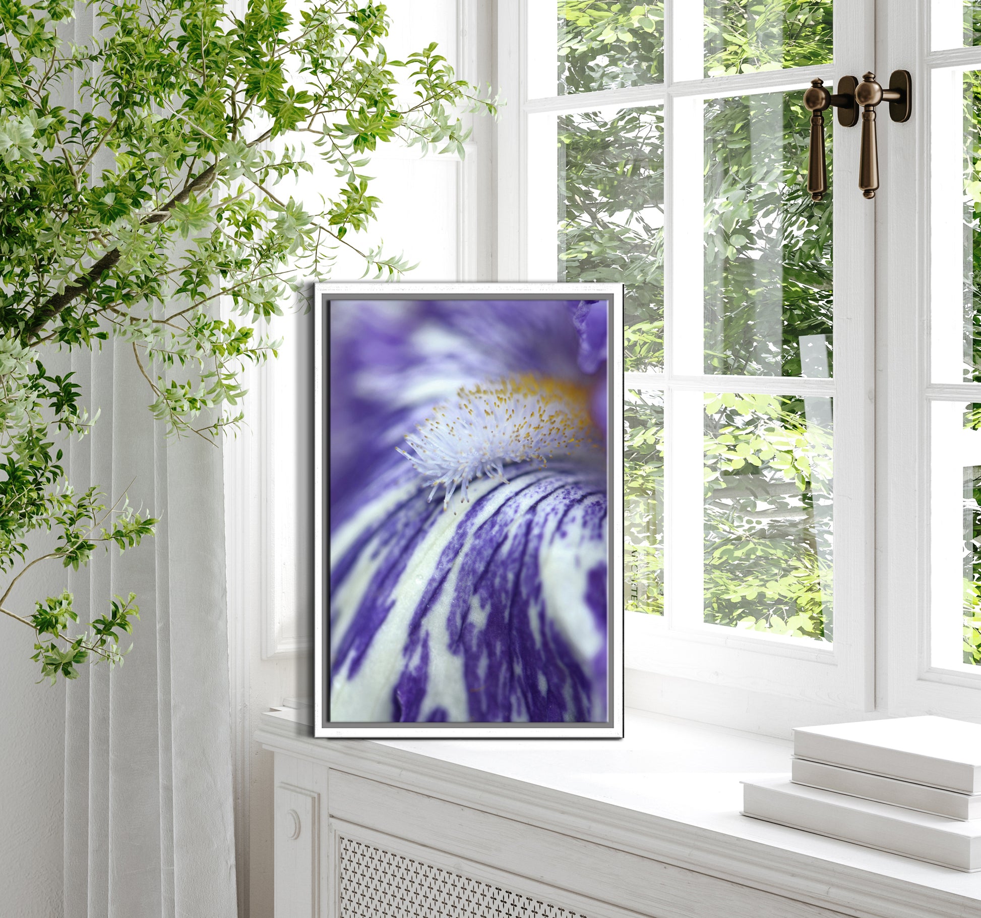 A beautiful look inside the Iris flower. Macro fine art photography. Canvas Wall Art by Kristen Olivares