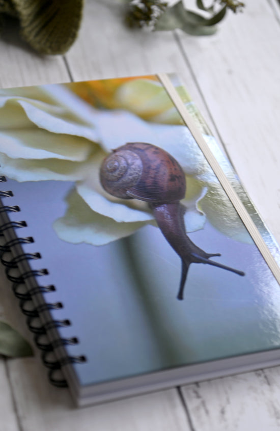 Beautiful photo of a Brown snail crawling on a cream flower. Durable hardcover journal-200 lined pages- photo by Kristen Olivares