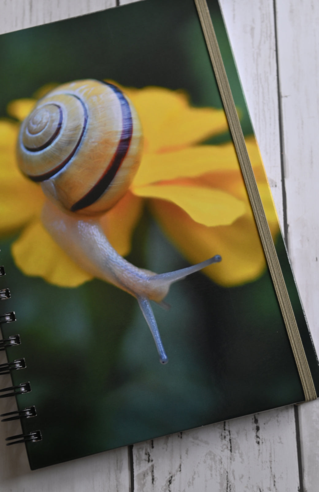 Beautiful photo of a yellow snail crawling on a yellow flower. Durable hardcover journal-200 lined pages- photo by Kristen Olivares
